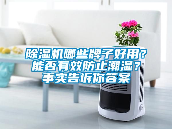 除濕機哪些牌子好用？能否有效防止潮濕？事實告訴你答案