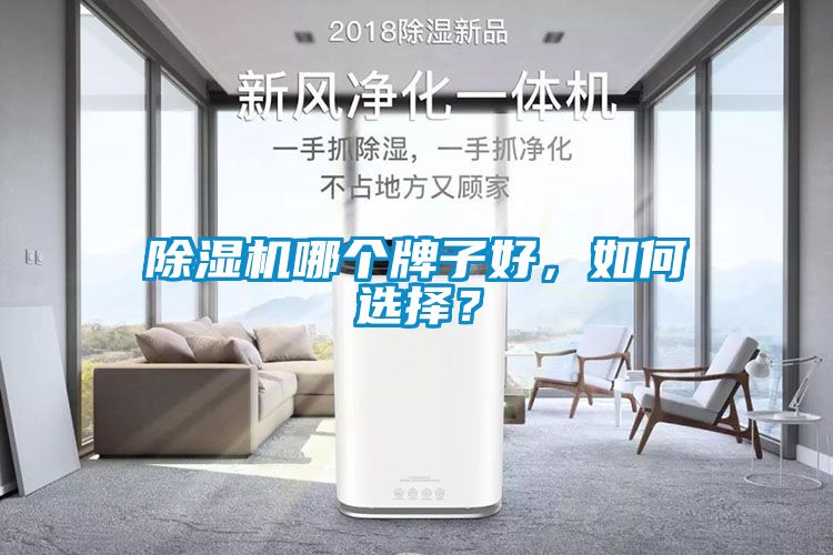 除濕機(jī)哪個(gè)牌子好，如何選擇？