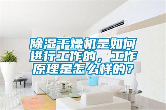 除濕干燥機(jī)是如何進(jìn)行工作的，工作原理是怎么樣的？