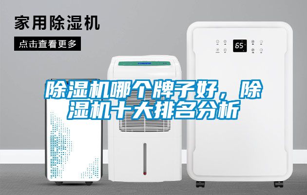 除濕機(jī)哪個(gè)牌子好，除濕機(jī)十大排名分析