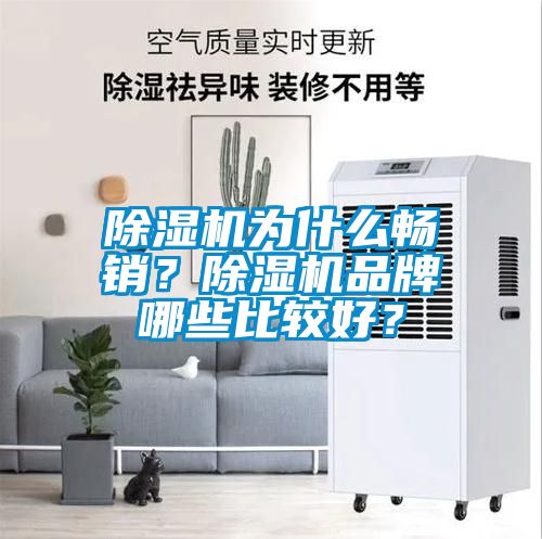 除濕機為什么暢銷？除濕機品牌哪些比較好？