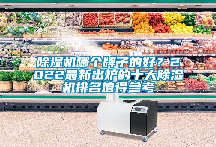 除濕機(jī)哪個牌子的好？2022最新出爐的十大除濕機(jī)排名值得參考