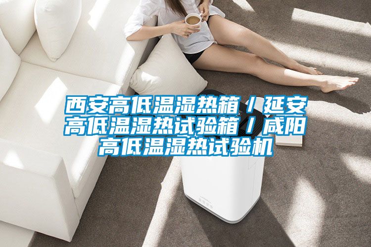 西安高低溫濕熱箱／延安高低溫濕熱試驗(yàn)箱／咸陽(yáng)高低溫濕熱試驗(yàn)機(jī)