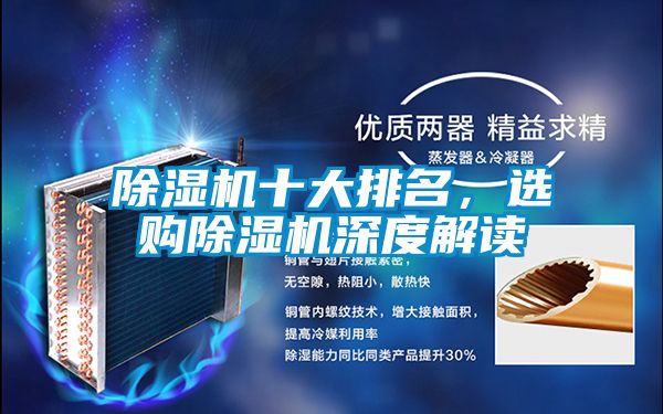 除濕機(jī)十大排名，選購除濕機(jī)深度解讀