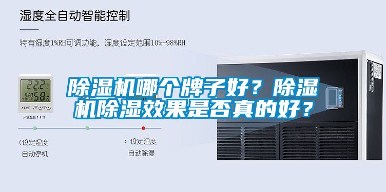 除濕機哪個牌子好？除濕機除濕效果是否真的好？