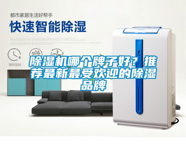除濕機(jī)哪個(gè)牌子好？推薦最新最受歡迎的除濕品牌