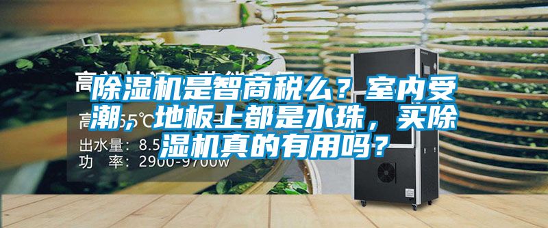 除濕機(jī)是智商稅么？室內(nèi)受潮，地板上都是水珠，買除濕機(jī)真的有用嗎？