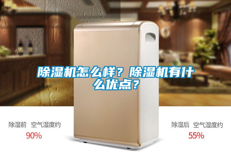 除濕機怎么樣？除濕機有什么優(yōu)點？