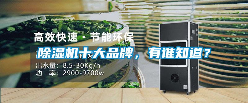 除濕機(jī)十大品牌，有誰(shuí)知道？