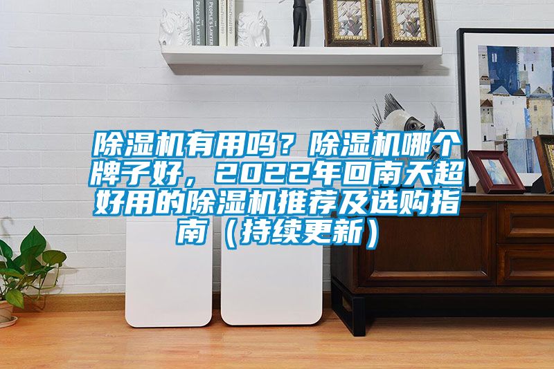 除濕機(jī)有用嗎？除濕機(jī)哪個牌子好，2022年回南天超好用的除濕機(jī)推薦及選購指南（持續(xù)更新）