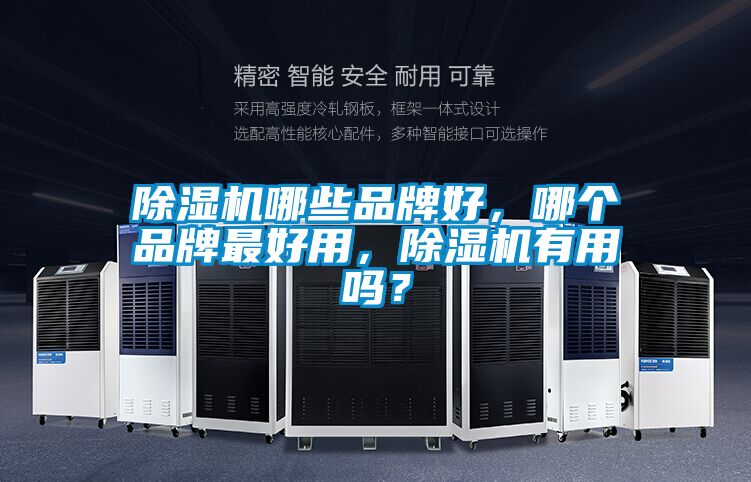 除濕機(jī)哪些品牌好，哪個(gè)品牌最好用，除濕機(jī)有用嗎？