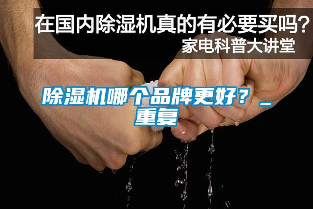 除濕機哪個品牌更好？_重復