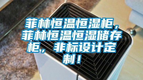 菲林恒溫恒濕柜，菲林恒溫恒濕儲存柜，非標設計定制！