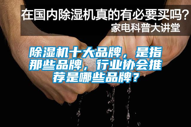 除濕機(jī)十大品牌，是指那些品牌，行業(yè)協(xié)會(huì)推薦是哪些品牌？