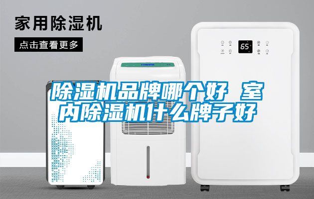 除濕機(jī)品牌哪個好 室內(nèi)除濕機(jī)什么牌子好