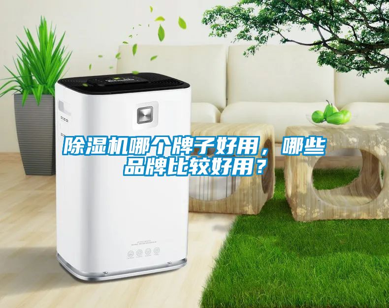 除濕機哪個牌子好用，哪些品牌比較好用？