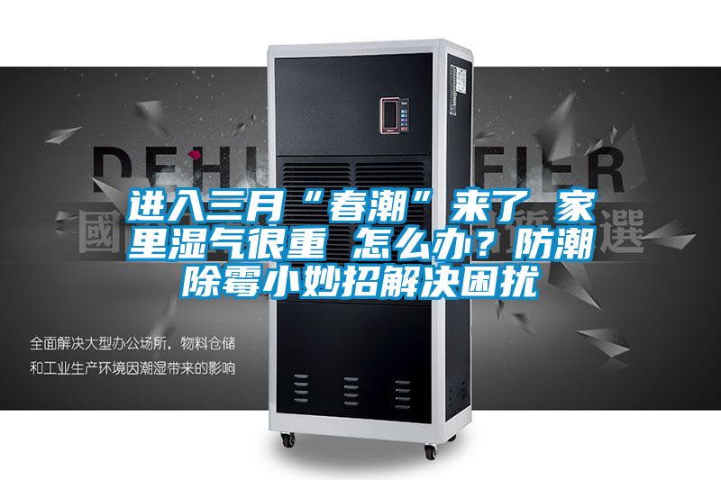 進入三月“春潮”來了 家里濕氣很重 怎么辦？防潮除霉小妙招解決困擾