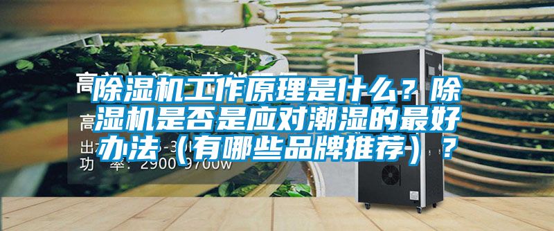 除濕機(jī)工作原理是什么？除濕機(jī)是否是應(yīng)對潮濕的最好辦法（有哪些品牌推薦）？