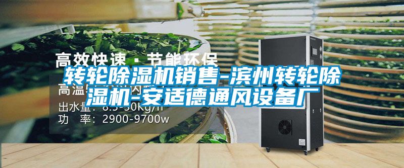 轉(zhuǎn)輪除濕機銷售-濱州轉(zhuǎn)輪除濕機-安適德通風設(shè)備廠
