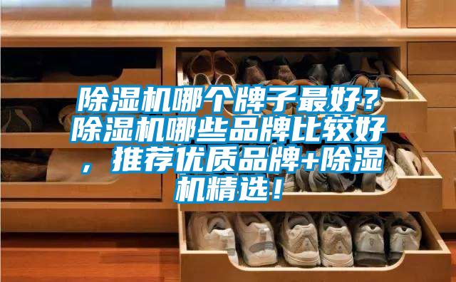 除濕機(jī)哪個(gè)牌子最好？除濕機(jī)哪些品牌比較好，推薦優(yōu)質(zhì)品牌+除濕機(jī)精選！