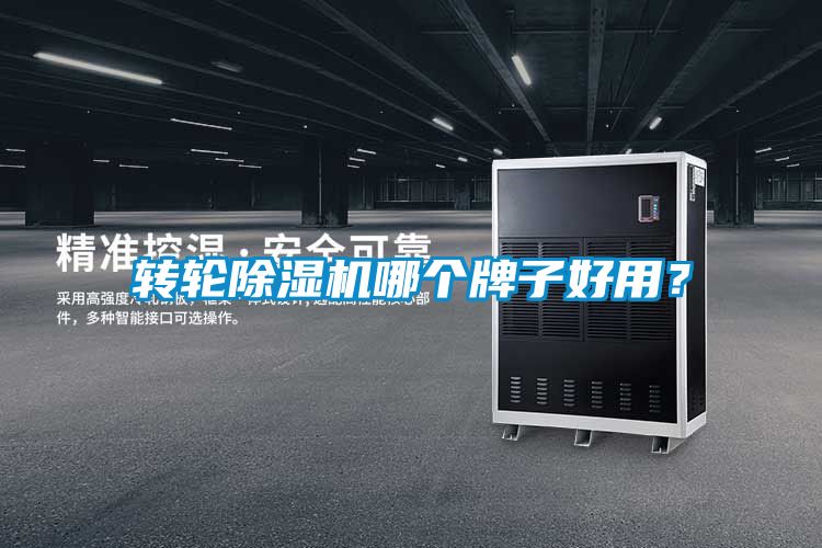 轉(zhuǎn)輪除濕機(jī)哪個牌子好用？