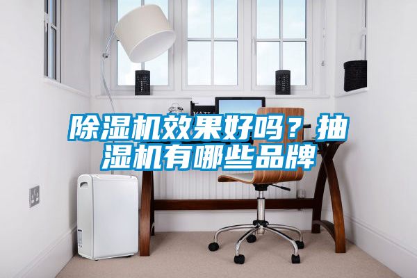 除濕機效果好嗎？抽濕機有哪些品牌