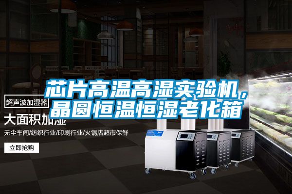芯片高溫高濕實驗機(jī)，晶圓恒溫恒濕老化箱