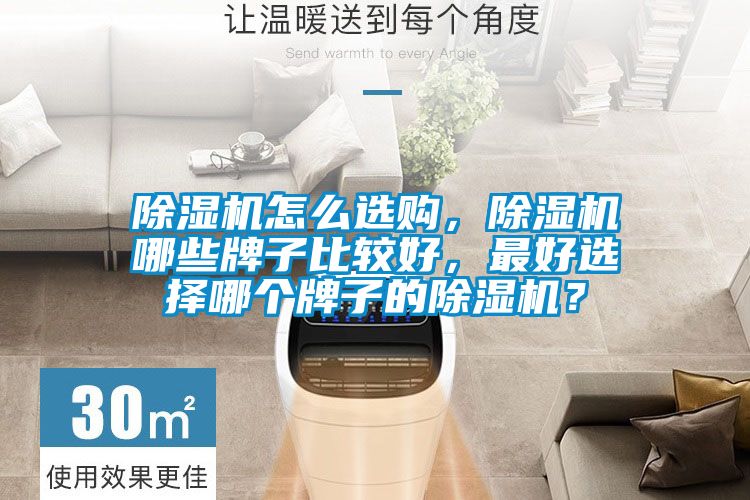 除濕機怎么選購，除濕機哪些牌子比較好，最好選擇哪個牌子的除濕機？