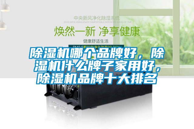 除濕機(jī)哪個品牌好，除濕機(jī)什么牌子家用好，除濕機(jī)品牌十大排名