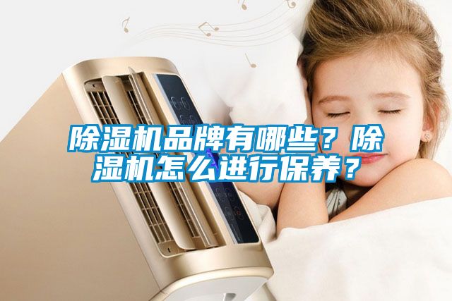 除濕機(jī)品牌有哪些？除濕機(jī)怎么進(jìn)行保養(yǎng)？