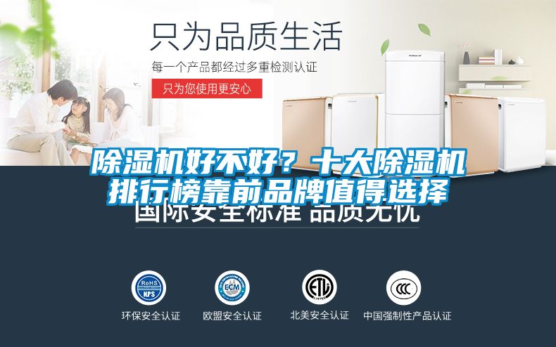 除濕機好不好？十大除濕機排行榜靠前品牌值得選擇