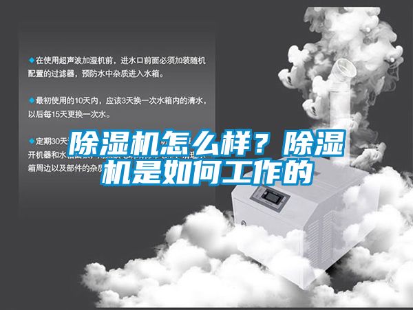 除濕機(jī)怎么樣？除濕機(jī)是如何工作的