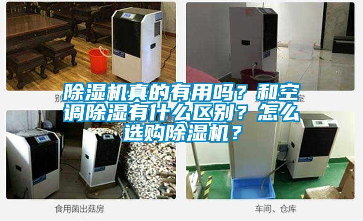 除濕機真的有用嗎？和空調(diào)除濕有什么區(qū)別？怎么選購除濕機？