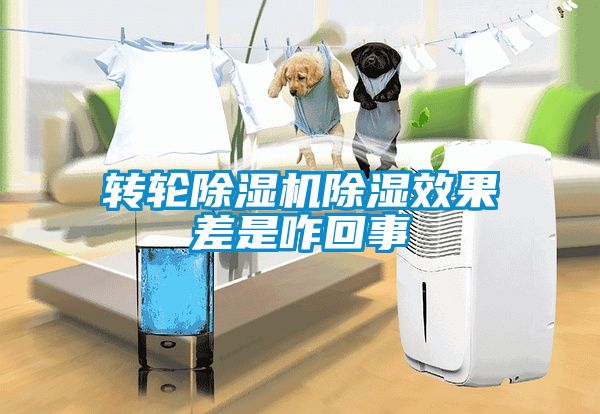 轉(zhuǎn)輪除濕機除濕效果差是咋回事