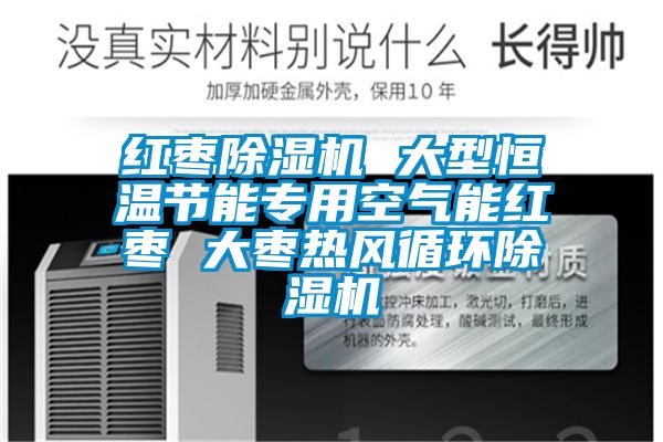 紅棗除濕機 大型恒溫節(jié)能專用空氣能紅棗 大棗熱風循環(huán)除濕機
