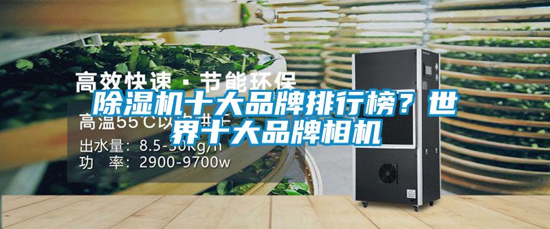 除濕機(jī)十大品牌排行榜？世界十大品牌相機(jī)