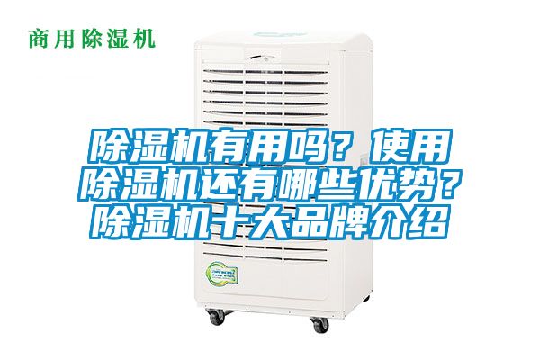 除濕機(jī)有用嗎？使用除濕機(jī)還有哪些優(yōu)勢(shì)？除濕機(jī)十大品牌介紹