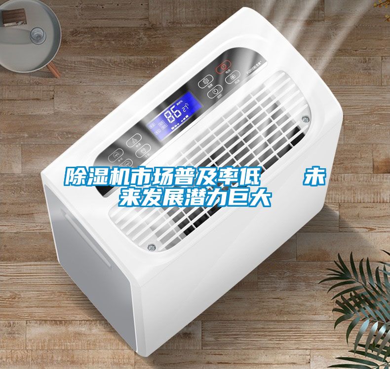 除濕機(jī)市場(chǎng)普及率低   未來發(fā)展?jié)摿薮?/></p>
						    <p style=