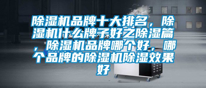 除濕機(jī)品牌十大排名，除濕機(jī)什么牌子好之除濕篇，除濕機(jī)品牌哪個(gè)好，哪個(gè)品牌的除濕機(jī)除濕效果好