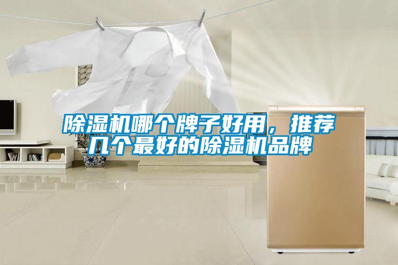 除濕機(jī)哪個(gè)牌子好用，推薦幾個(gè)最好的除濕機(jī)品牌