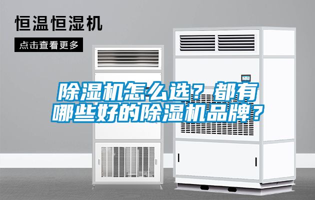 除濕機(jī)怎么選？都有哪些好的除濕機(jī)品牌？