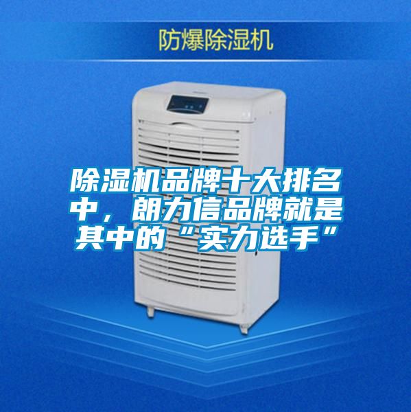 除濕機品牌十大排名中，朗力信品牌就是其中的“實力選手”