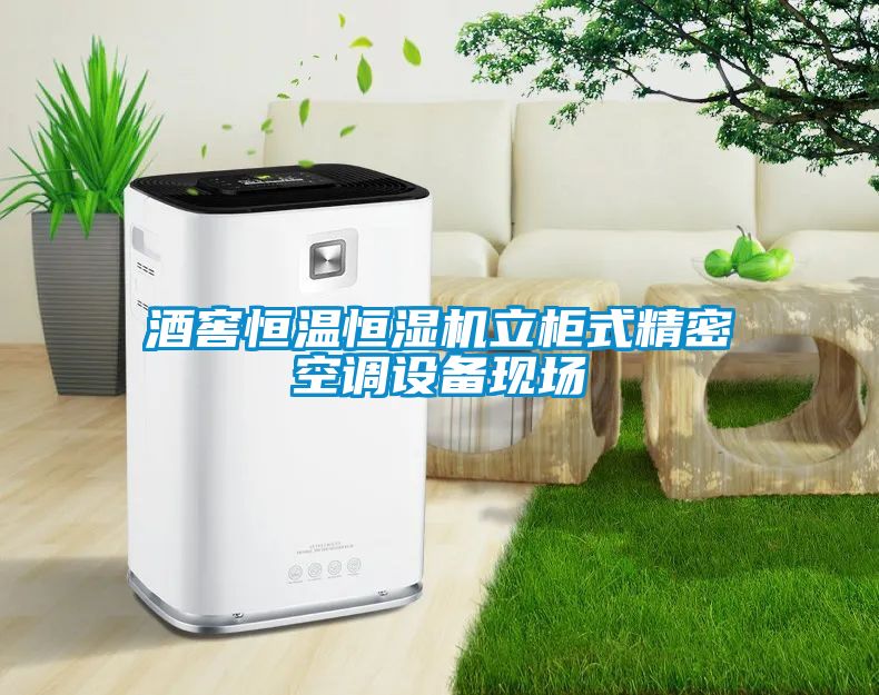 酒窖恒溫恒濕機(jī)立柜式精密空調(diào)設(shè)備現(xiàn)場