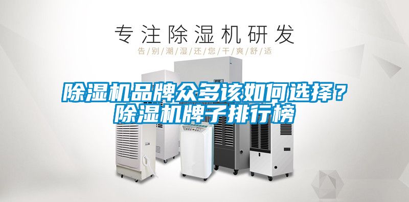 除濕機(jī)品牌眾多該如何選擇？除濕機(jī)牌子排行榜