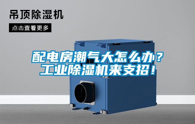 配電房潮氣大怎么辦？工業(yè)除濕機來支招！