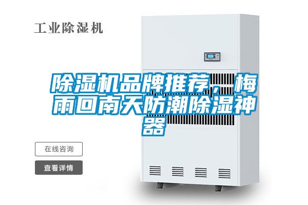 除濕機品牌推薦，梅雨回南天防潮除濕神器