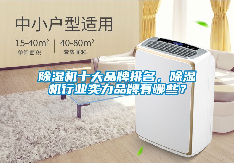 除濕機(jī)十大品牌排名，除濕機(jī)行業(yè)實(shí)力品牌有哪些？