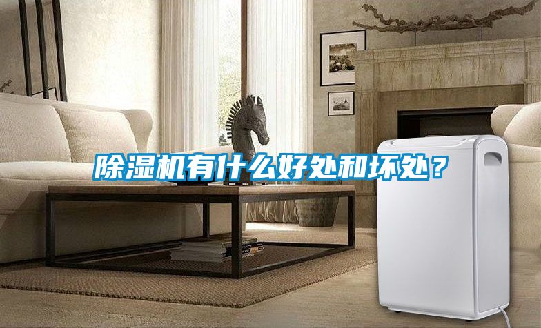 除濕機(jī)有什么好處和壞處？