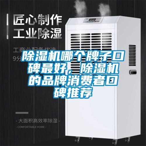 除濕機哪個牌子口碑最好，除濕機的品牌消費者口碑推薦