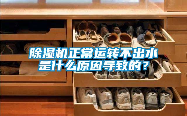 除濕機(jī)正常運(yùn)轉(zhuǎn)不出水是什么原因?qū)е碌模?></div>
								<div   id=
